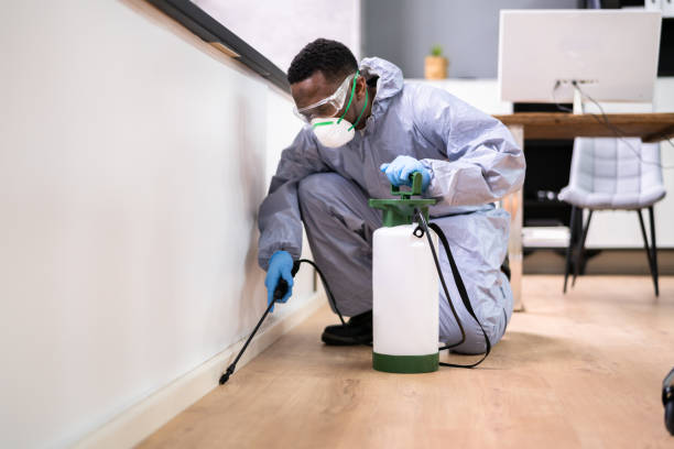 Indoor Pest Control in Lake Ridge, VA